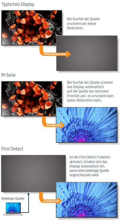 Die Input Detect Funktion des Sharp/NEC MultiSync M431.