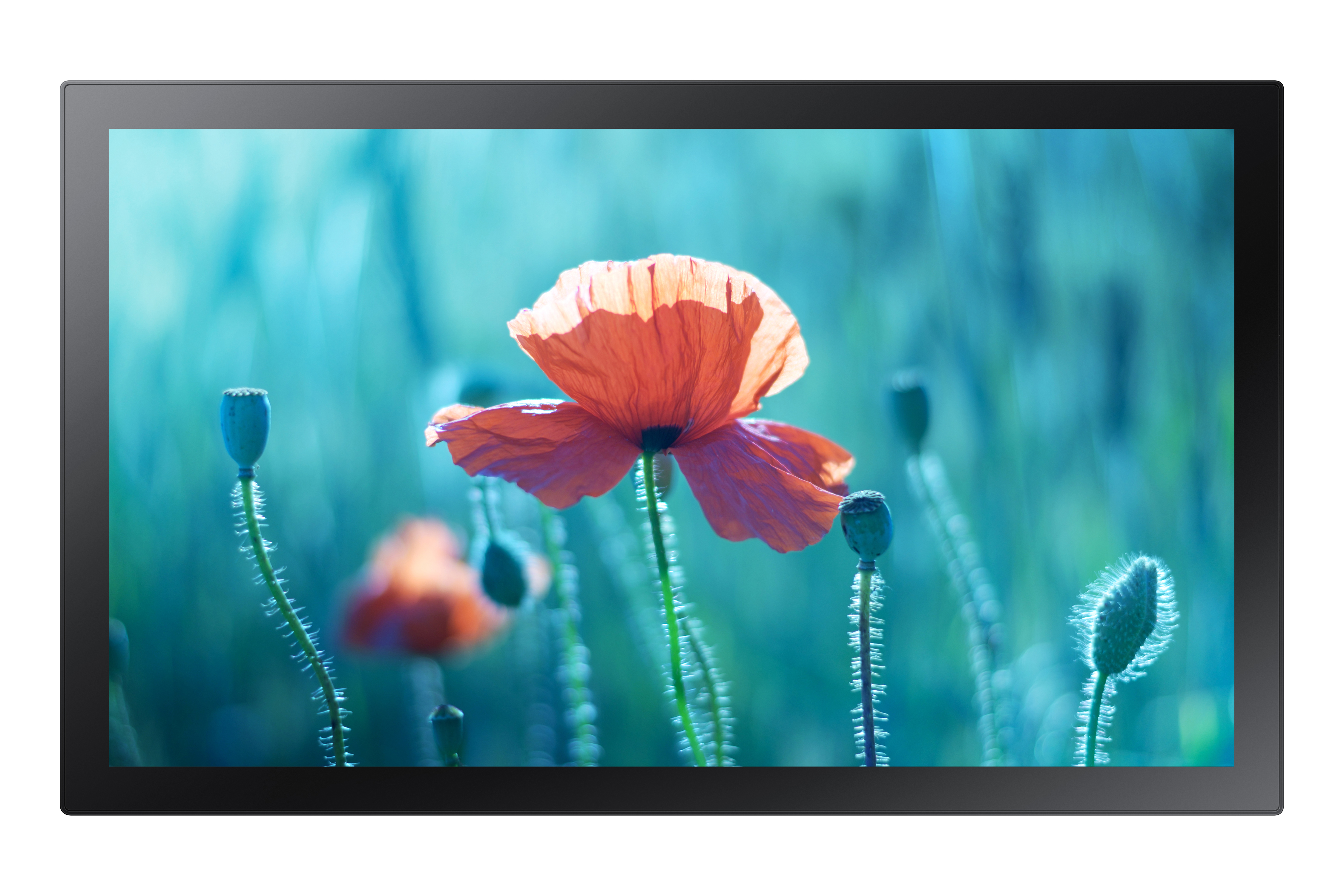 Samsung QB13R-TM - 13 Zoll - 500 cd/m² - Full-HD - 1920x1080 Pixel - WiFi - 16/7 - Touch Display