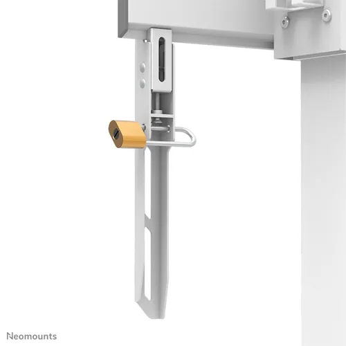 Neomounts WL55-875WH1 - motorisierte Boden-Wandhalterung - 37-100 Zoll - VESA 800x600mm - bis 110kg - Weiß