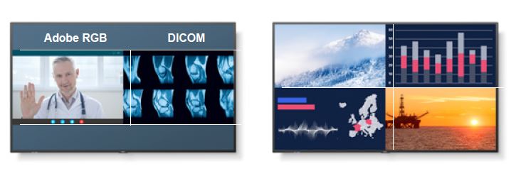 Sharp/NEC MultiSync MA491 PG - Multi Picture Mode.