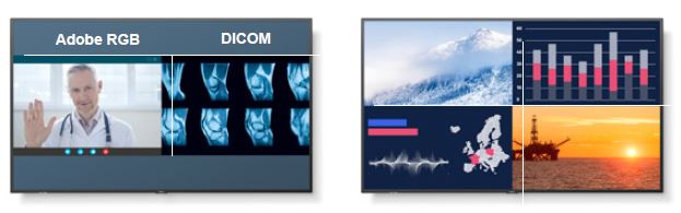 Sharp/NEC MultiSync P555-MPi4 - Multi Picture Mode.