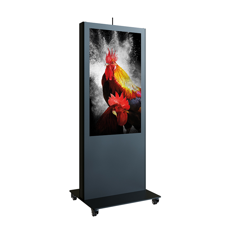 Hagor vis-it® Portrait 42-46 Zoll - Indoorstele - 42-46 Zoll - Hochformat - Schwarz